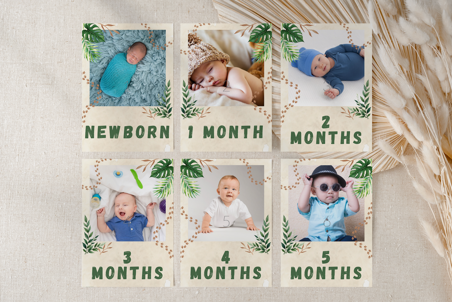 The growth milestone cards showcase photos of a baby's growth from newborn to 5 months old.